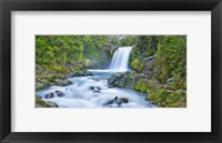 Framed Tawhai Falls, New Zealand