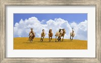 Framed Herd of Wild Horses