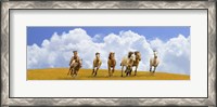 Framed Herd of Wild Horses (detail)