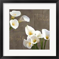 Framed 'White Callas' border=