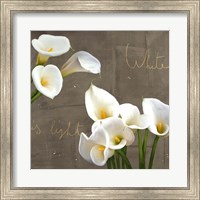 Framed White Callas