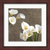 Framed White Callas