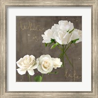 Framed 'White Roses' border=