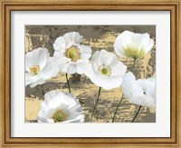 Framed Washed Poppies (Ash & Gold)