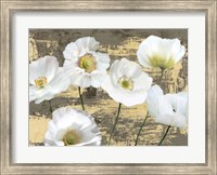 Framed Washed Poppies (Ash & Gold)