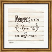 Framed Memories