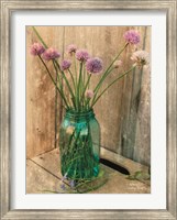 Framed Country Chives