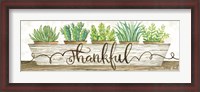 Framed Thankful Succulent Pots