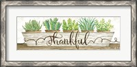 Framed Thankful Succulent Pots