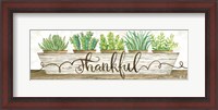 Framed Thankful Succulent Pots