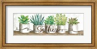 Framed Gather Succulent Pots