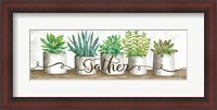 Framed Gather Succulent Pots