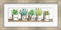 Framed Gather Succulent Pots