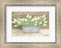 Framed Flowers & Garden Tulips