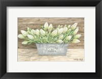 Framed Flowers & Garden Tulips