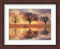 Framed Trio of Trees