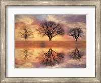 Framed Trio of Trees