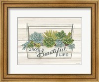 Framed Beautiful Life Succulents