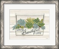 Framed Beautiful Life Succulents