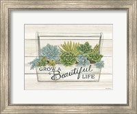 Framed Beautiful Life Succulents