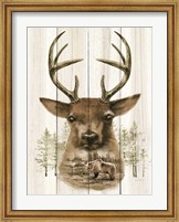 Framed Deer Wilderness Portrait