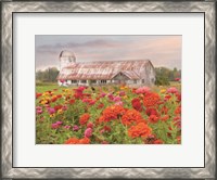 Framed Vermont Flowers