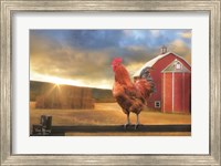 Framed Good Morning Rooster