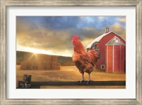 Framed Good Morning Rooster