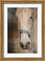 Framed Old Gray Mare