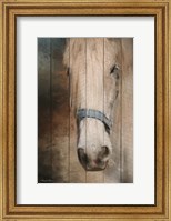 Framed Old Gray Mare