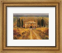Framed Toscana Vigna Special