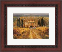 Framed Toscana Vigna Special