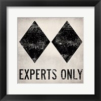 Framed Experts Only White