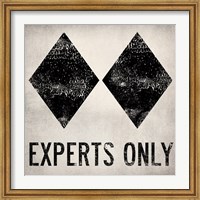 Framed Experts Only White