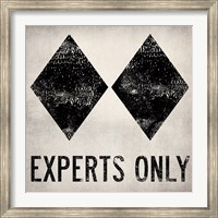 Framed Experts Only White