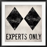 Framed Experts Only White