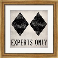 Framed Experts Only White