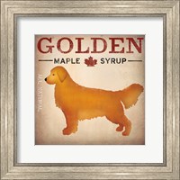 Framed Golden Dog at Show No VT