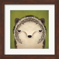 Framed Baby Hedgehog