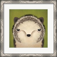 Framed Baby Hedgehog