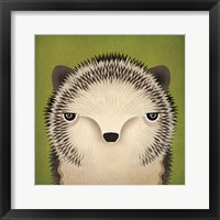 Framed Baby Hedgehog