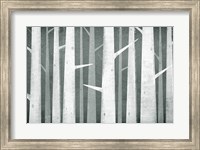 Framed Birches Winter Woods I Neutral