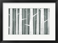 Framed Birches Winter Woods I Neutral