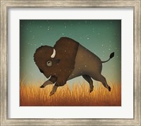 Framed Buffalo Bison II