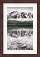 Framed Waterfowl Lake Panel II BW with Color