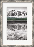 Framed Waterfowl Lake Panel II BW with Color