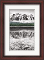 Framed Waterfowl Lake Panel II BW with Color