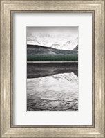 Framed Waterfowl Lake Panel I BW with Color