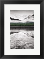 Framed Waterfowl Lake Panel III BW with Color