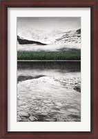 Framed Waterfowl Lake Panel III BW with Color